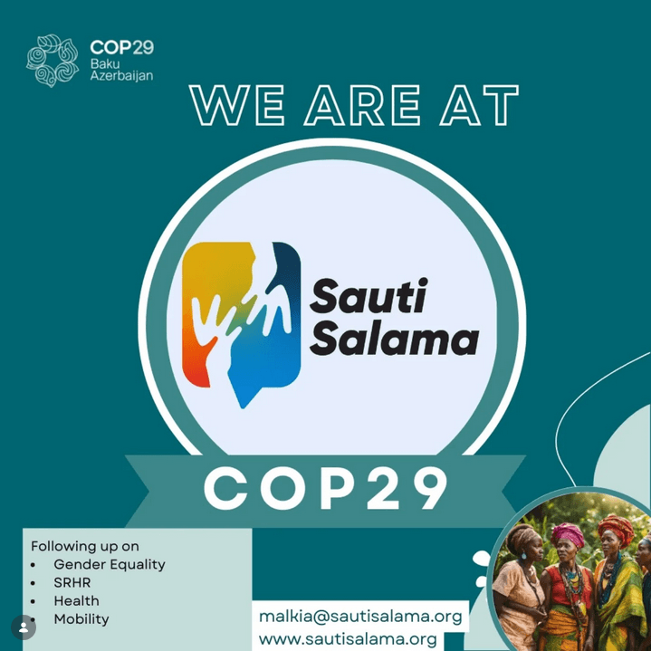 Advocacy at COP29